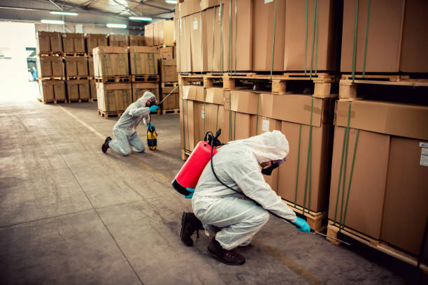 Best Best Pest Control Companies  in Oran, MO