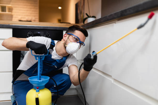 Pest Prevention Services in Oran, MO