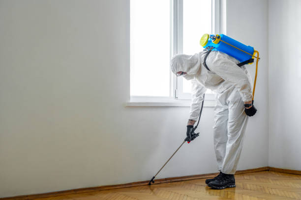 Best Cockroach Control Services  in Oran, MO