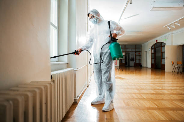 Best Best Pest Control Near Me  in Oran, MO
