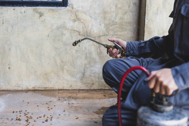 Best Exterminator Services  in Oran, MO
